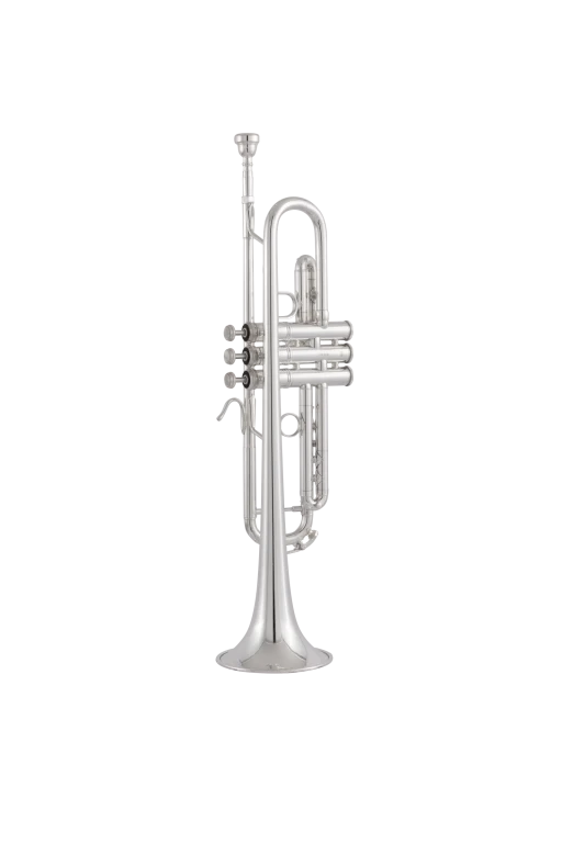 170S43GYR Bach Professional Trumpet