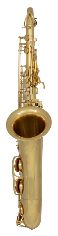 TWO1 Yanagisawa Professional Tenor Saxophone