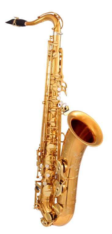 94DL HSP Professional Tenor Sax