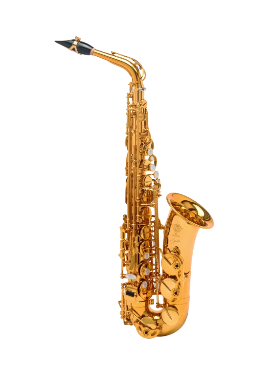 82SIGGP HSP Professional Alto Saxophone