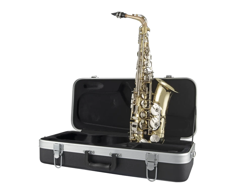 SAS301 Selmer Standard Student AltoSaxophone F