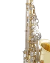 Selmer Alto Saxophone in Eb SAS201