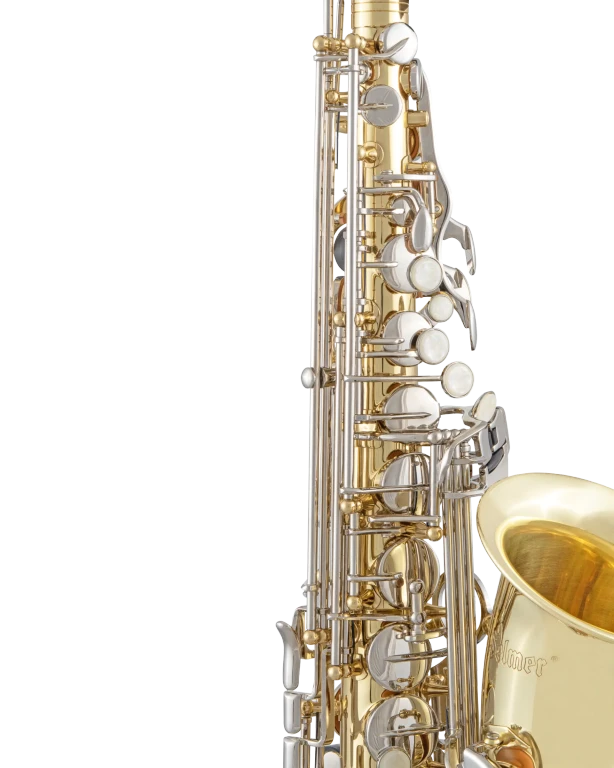 SAS201 Selmer Standard Student AltoSaxophone D