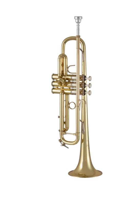 19072X Bach Standard Professional BflatTrumpet