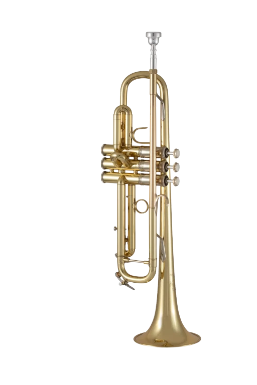 19072X Bach Standard Professional BflatTrumpet