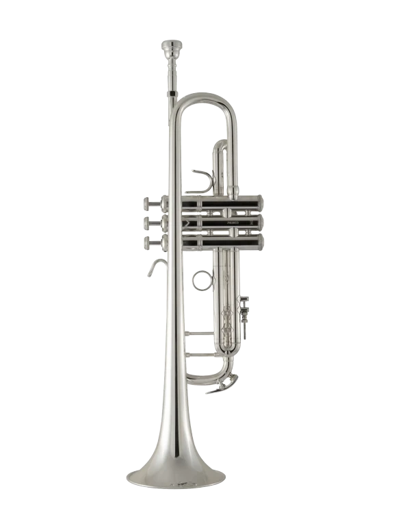 180S37 Bach Silver Professional Trumpet In Bk Vr Fs