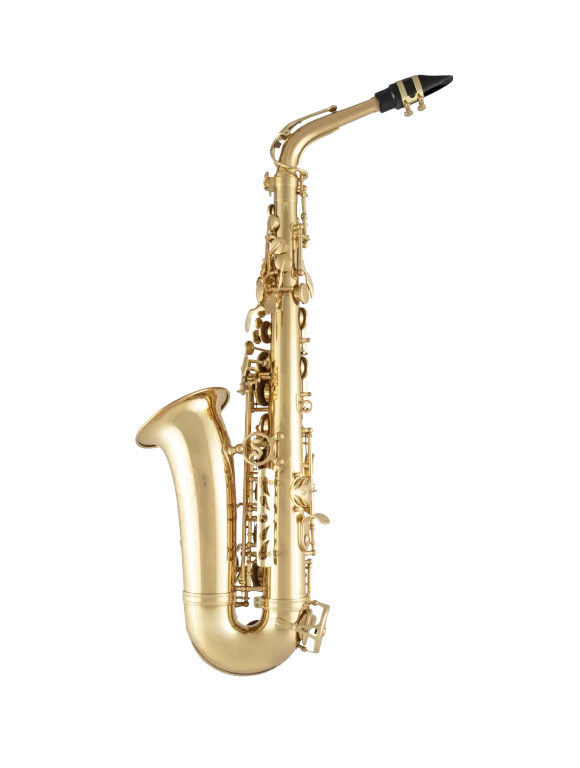 SAS511 Selmer Standard Alto Saxophone In Bk Vr