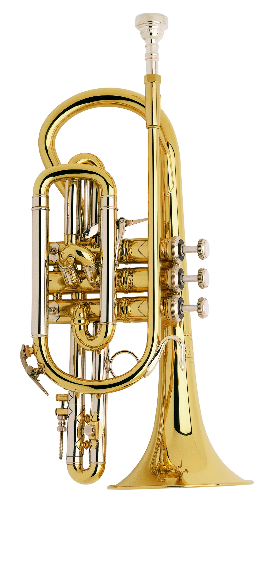 184ML Bach Cornet - zoomed in