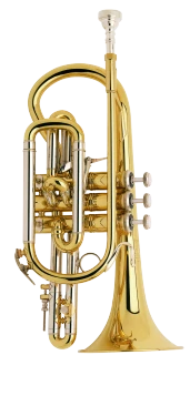 Bach Stradivarius Cornet in Bb 184 Shepherd's Crook