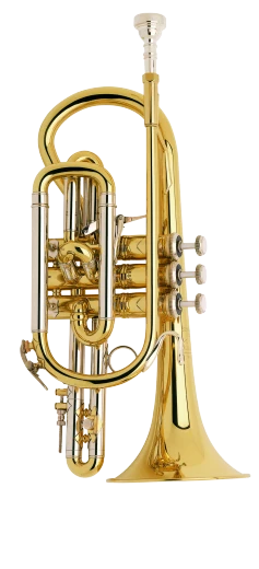 Bach Stradivarius Cornet in Bb 184ML Shepherd's Crook