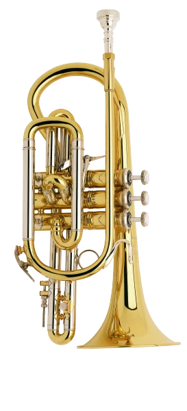 Bach Stradivarius Cornet in Bb 184 Shepherd's Crook