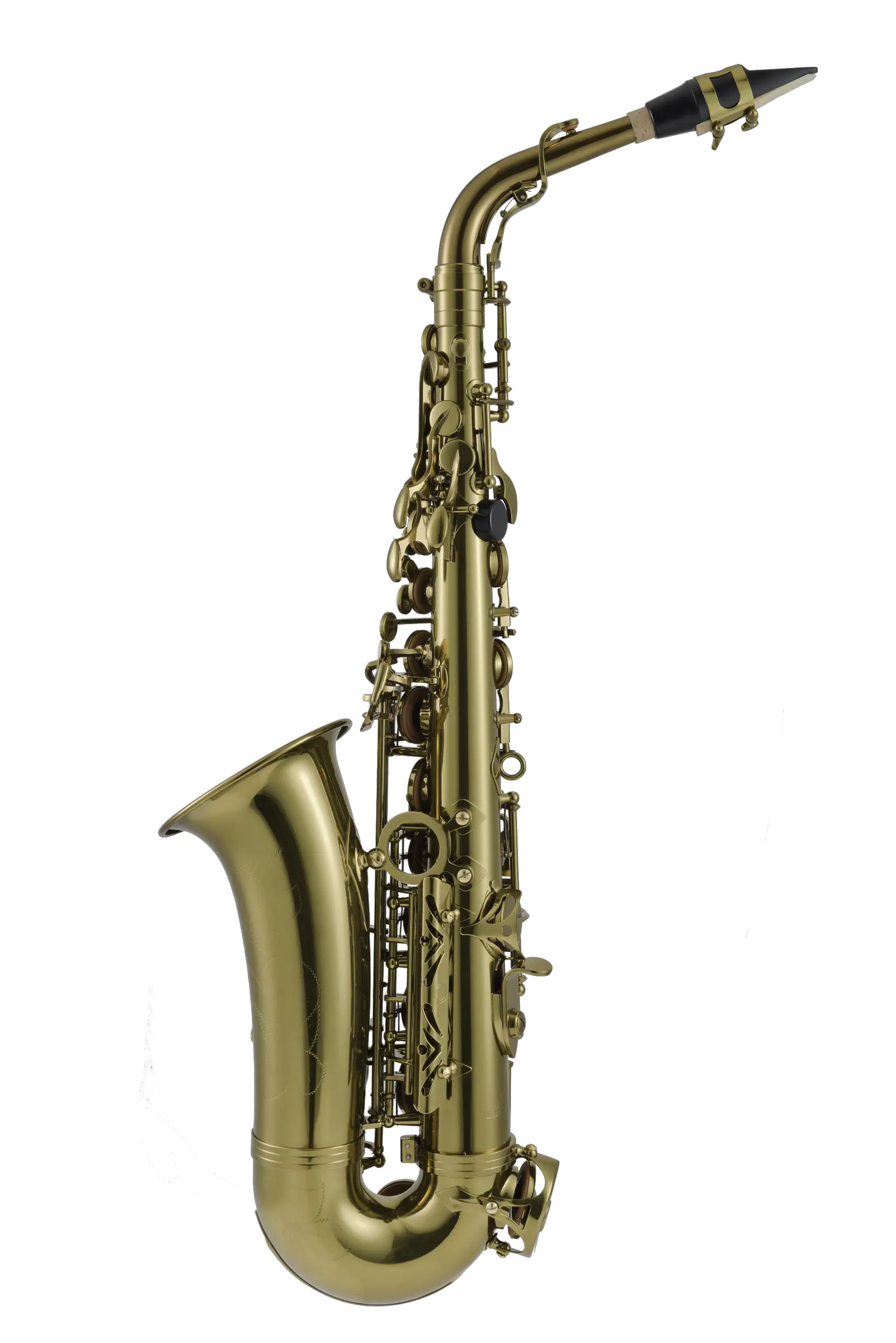 LAS411 Leblanc Student Alto Saxophone - zoomed in