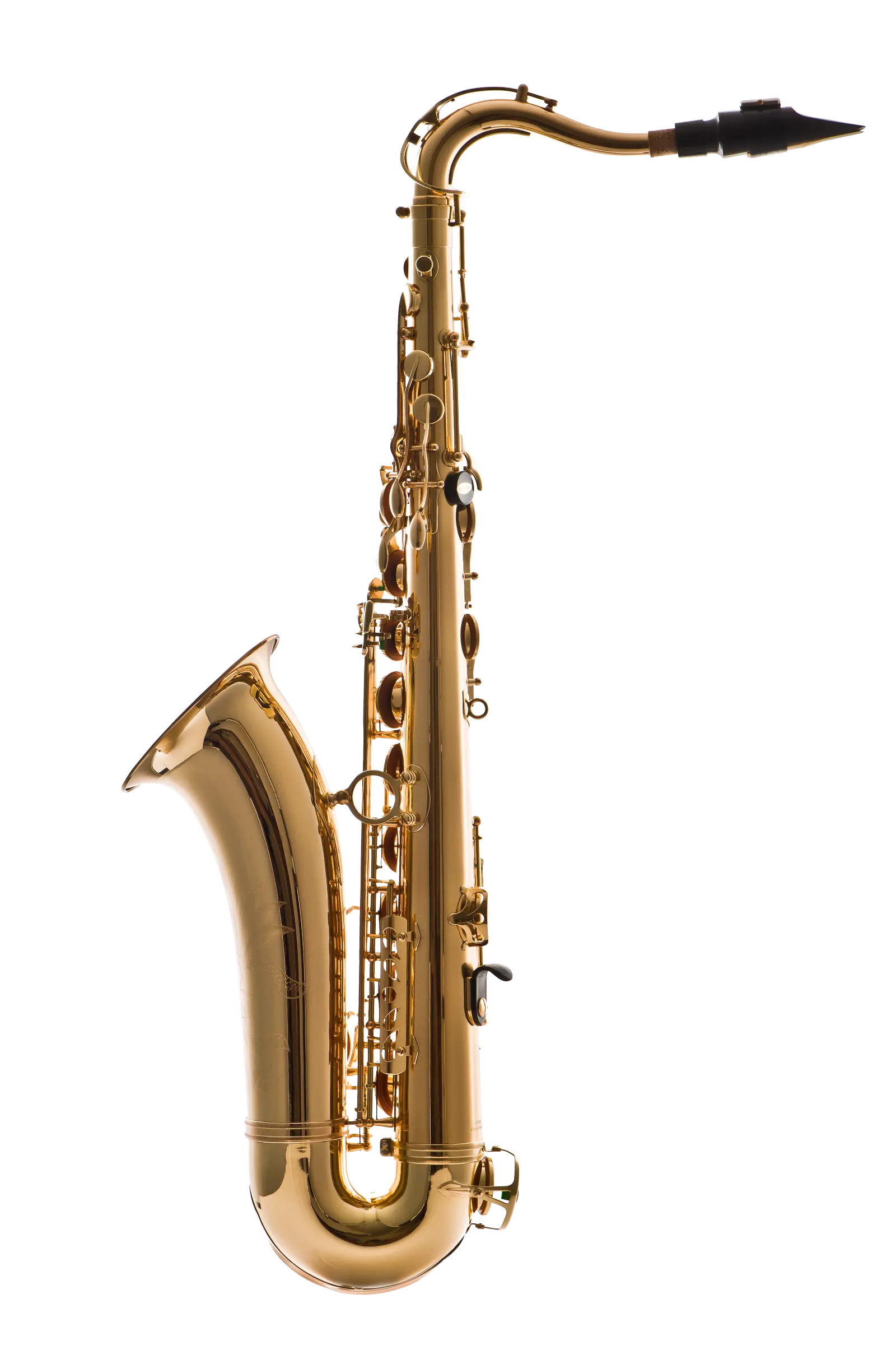LTS511 Leblanc Tenor Saxophone - zoomed in