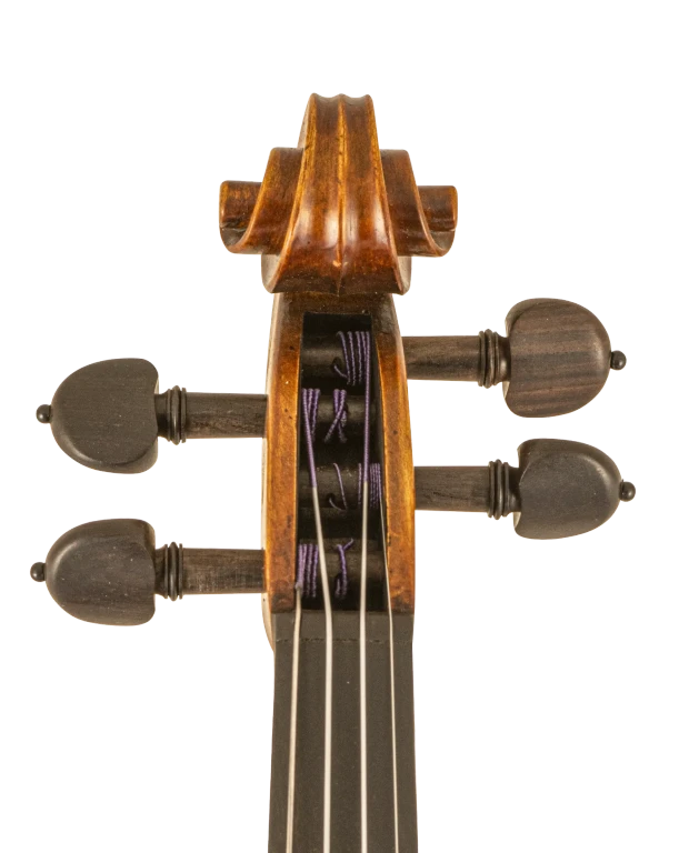 SR81E4H S&R Standard Advanced Violin In Fr Vr Ts