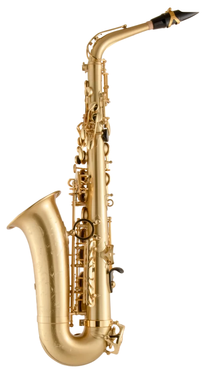 52JM HSP Professional Matte Alto Saxophone