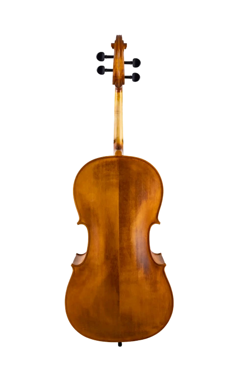 SR55E4H S&R Student Cello