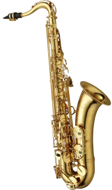 Yanagisawa Professional Tenor Saxophone in Bb TWO1