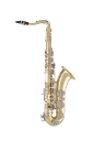 Selmer Tenor Saxophone in Bb STS201