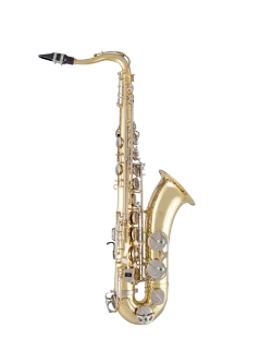 Selmer Tenor Saxophone in Bb STS201