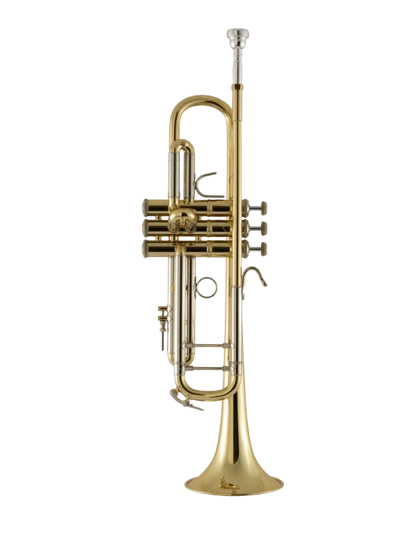 18037 Bach Standard Professional Trumpet In Fr Vr Fs