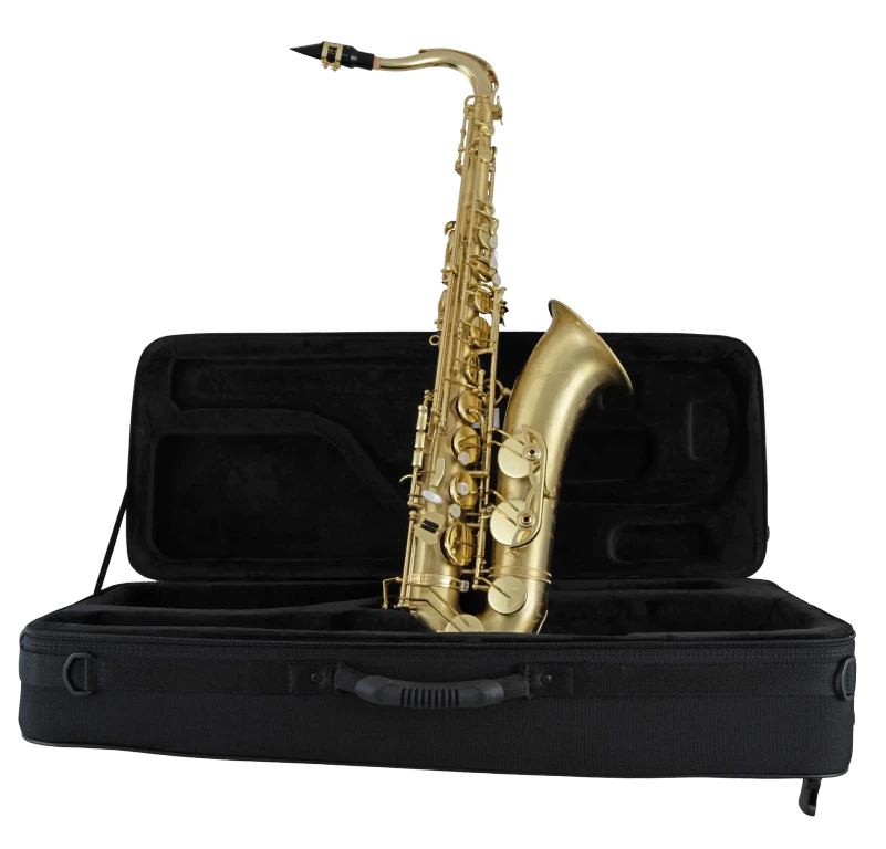 STS711M Selmer Lacquer Finish Tenor Saxophone Ic Fr Hz Fs