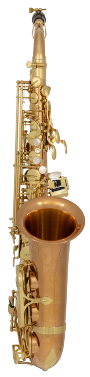 AW020 Yanagisawa Professional Alto Saxophone