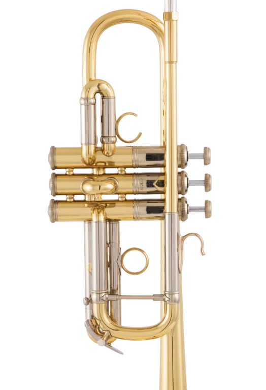 AC190 Bach Professional Artisan Trumpet