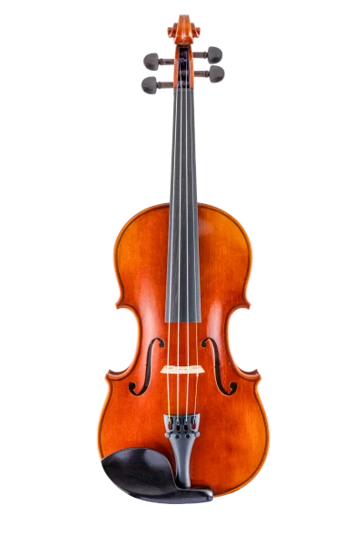 Scherl & Roth Violin SR61