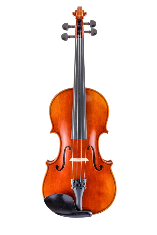 SR61E4H S&R StepUp Standard Violin In Fr Vr Fs