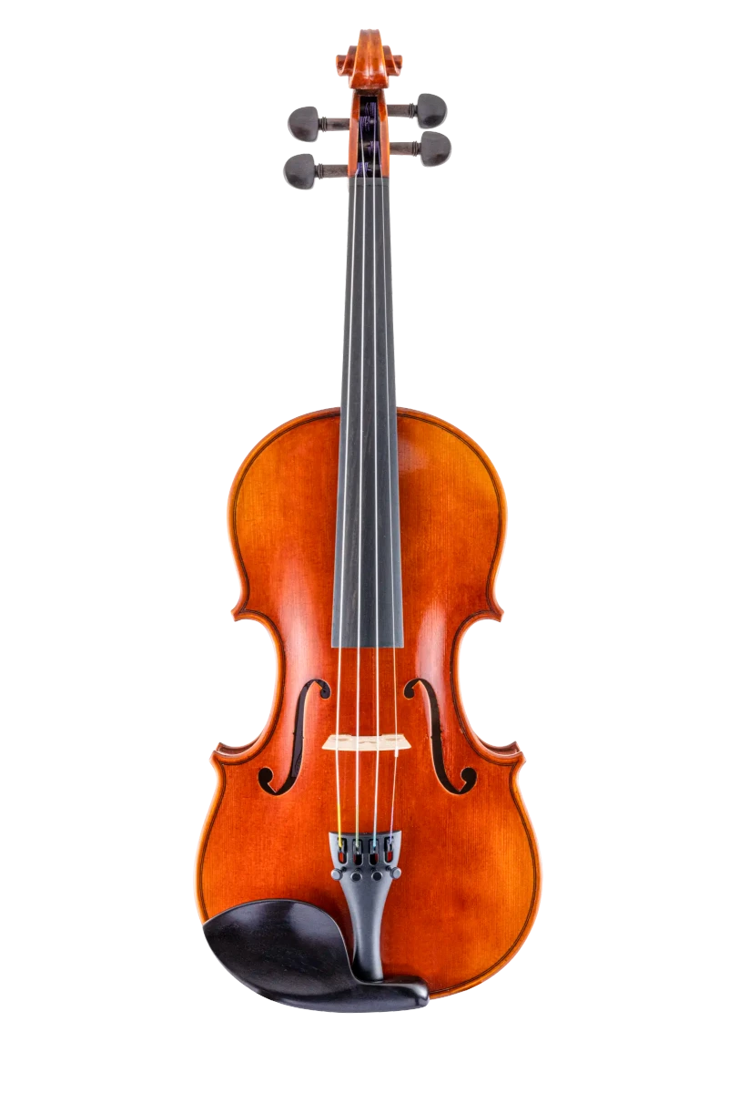 SR61E4H S&R StepUp Standard Violin In Fr Vr Fs