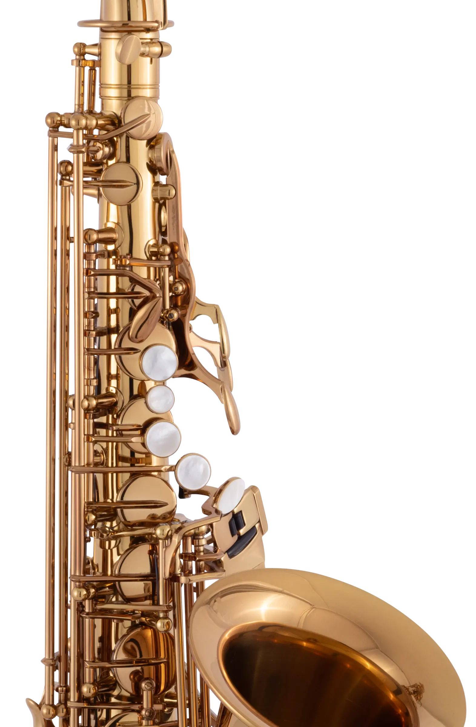 CAS411DL Conn Intermediate AltoSaxophone - zoomed in