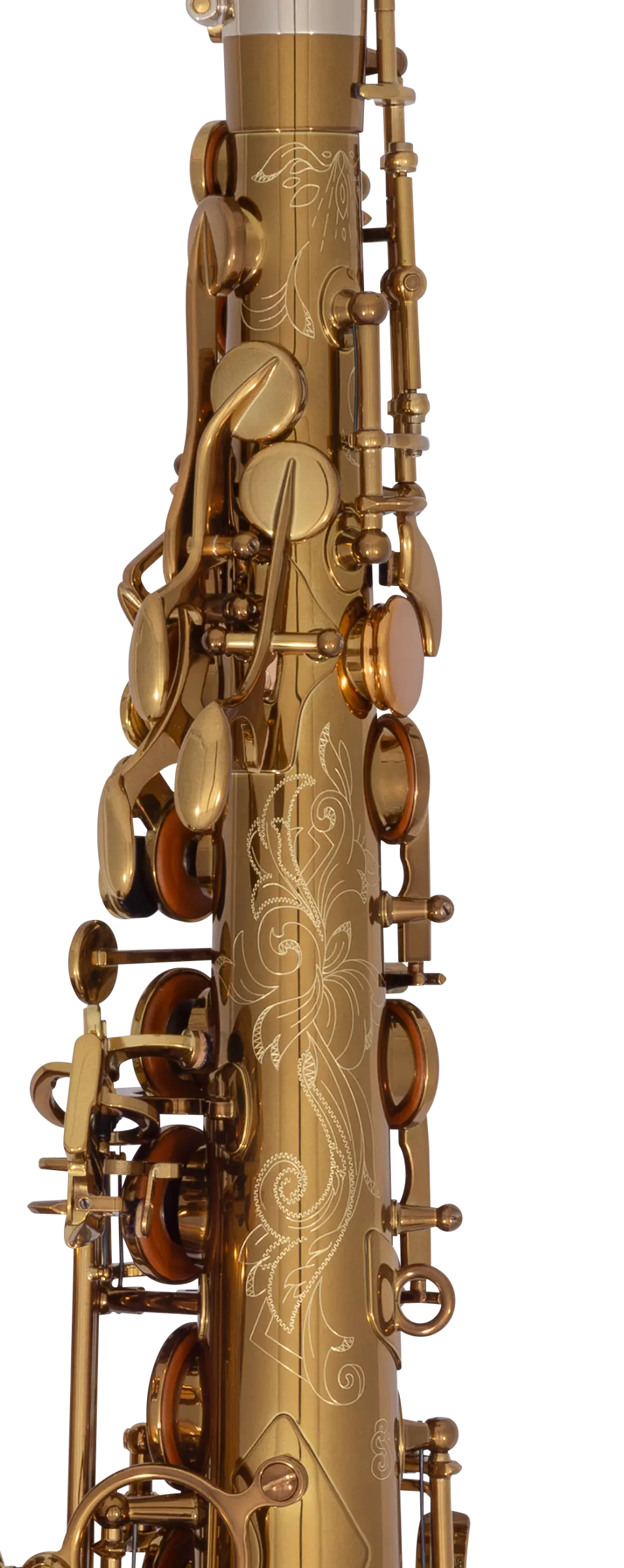 82SIGUSA1 HSP Professional  Alto - zoomed in