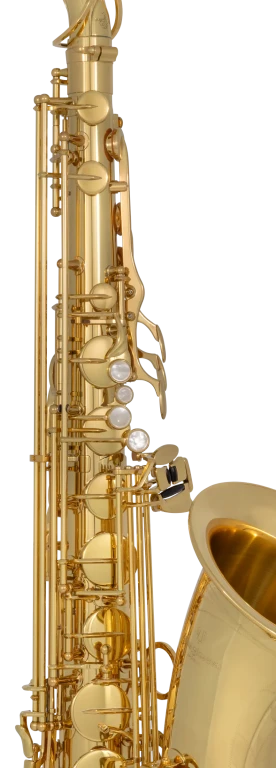 TWO1 Yanagisawa Professional Tenor Saxophone