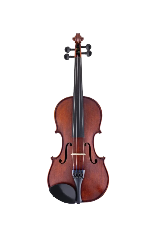 SR41E4H S&R Student Violin