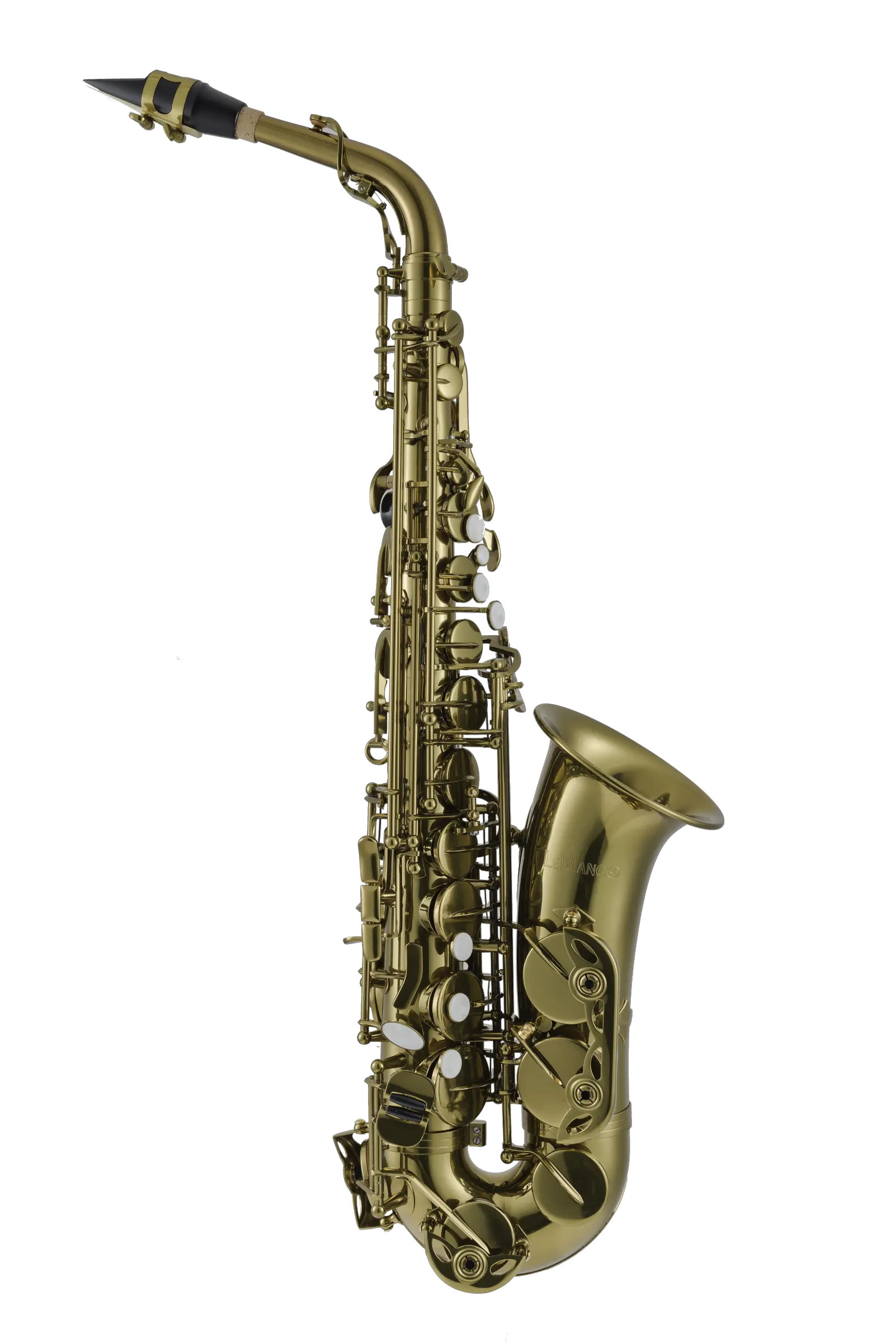 LAS411 Leblanc Student Alto Saxophone - zoomed in
