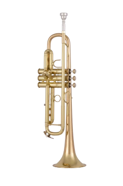Bach Stradivarius Trumpet in Bb 17043GYR