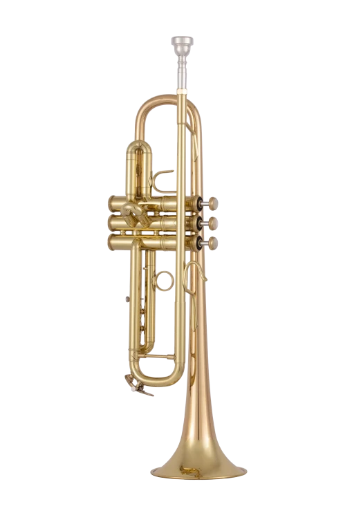 17043GYR Bach Professional Trumpet
