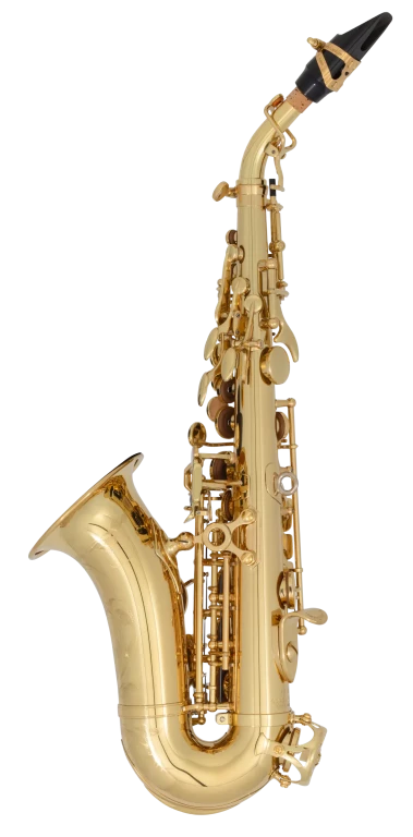 SCWO10 Yanagisawa Curves Soprano Saxophone