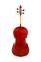 Scherl & Roth Cello SR43 Laminated