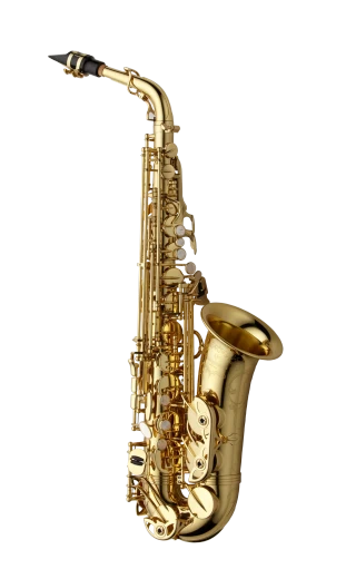 Yanagisawa Alto Saxophone in Eb AWO10