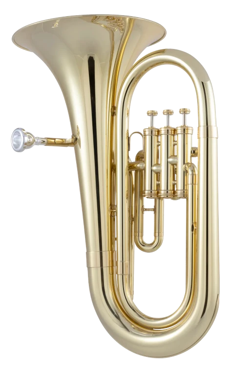 623 King Student Baritone