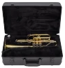 CR301H Bach Beginner Cornet - thumbnail