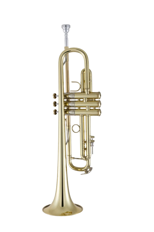 19072X Bach Professional Trumpet