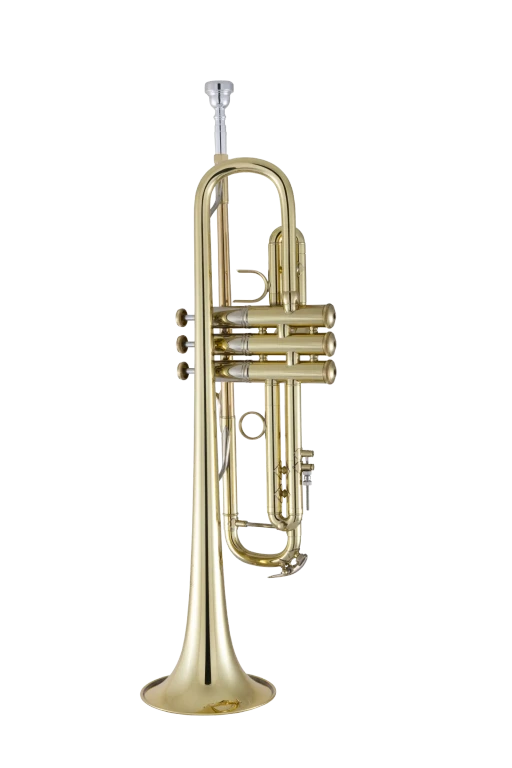 19072X Bach Professional Trumpet