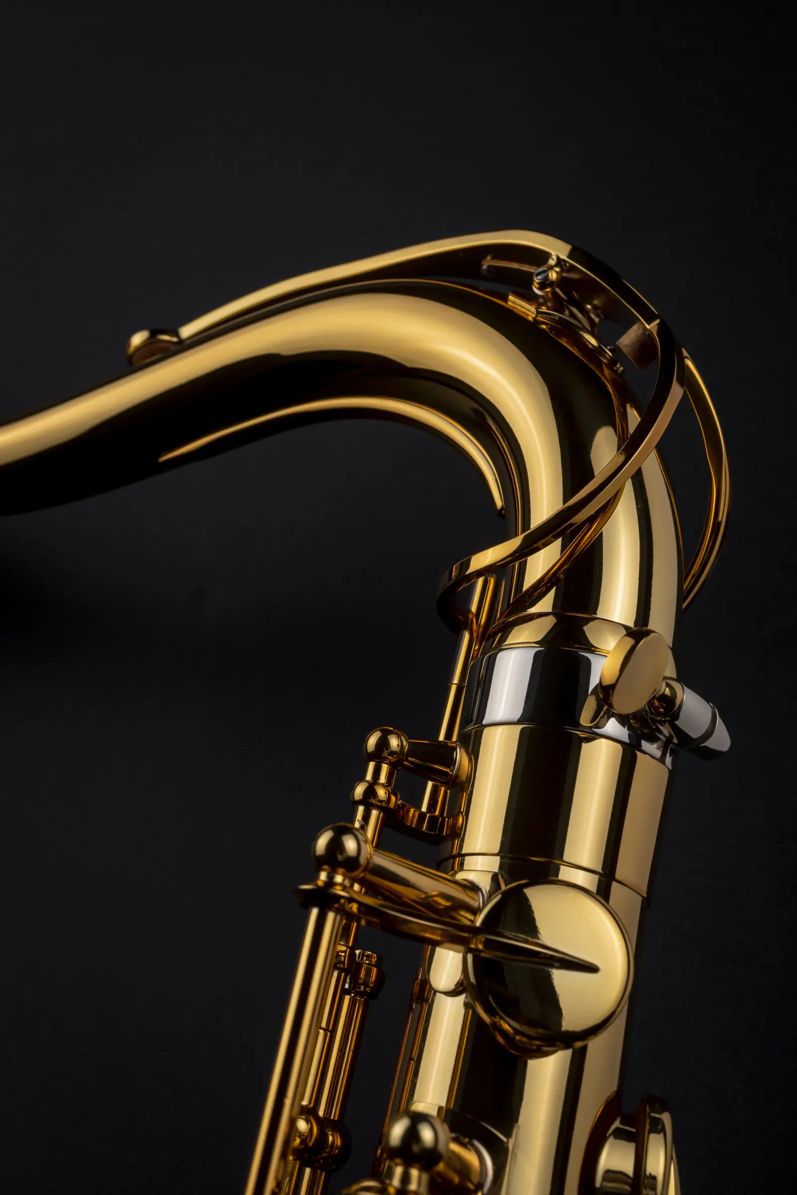 84SIG Selmer Professional Tenor Saxophone ArtShot - zoomed in