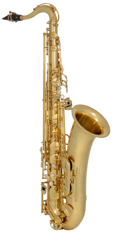 TWO1 Yanagisawa Professional Tenor Saxophone