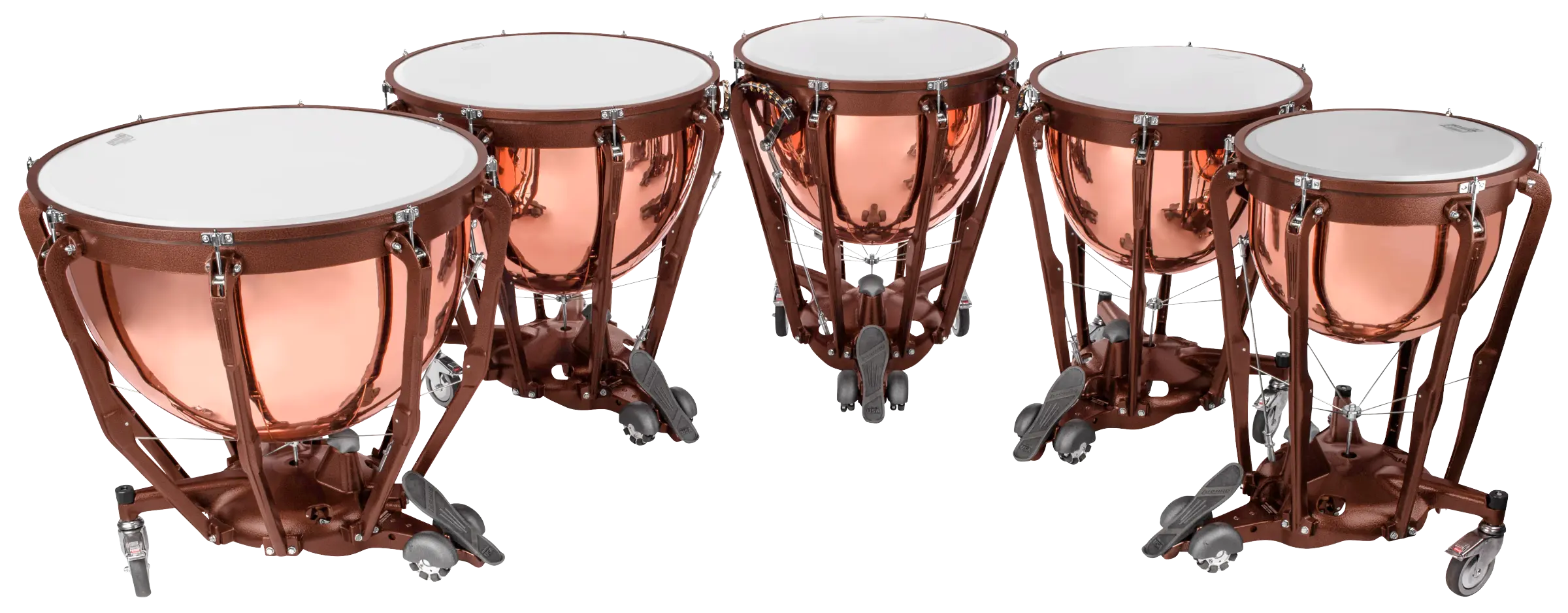 LTP505PG Ludwig Professional PolishedCopper 5PC B - zoomed in