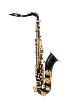 Selmer Paris Signature Tenor Saxophone in Bb 84SIGBL