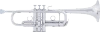 Slide 1 Thumbnail