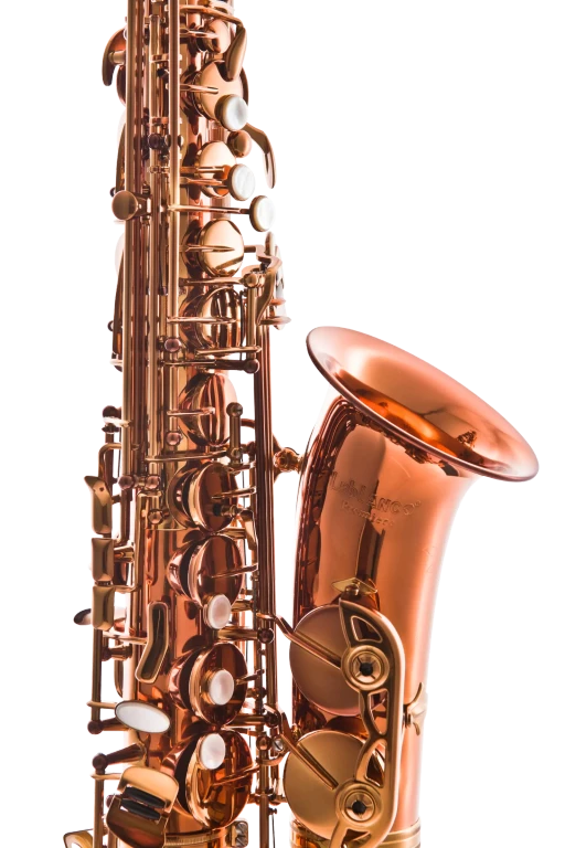LAS711DL Alto Saxophone